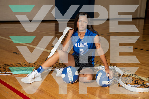 ALDINE_VB_0257-(BROWN)