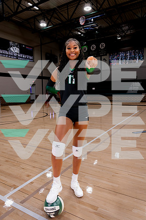 RUDDER_VB-(HINSON)-30