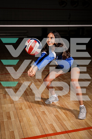 DICKINSON_VB_0F9A7639-(BROWN)