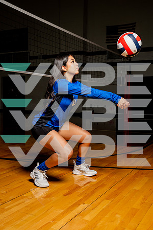 ALDINE_VB-(COLLIER)-15