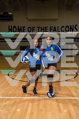 CHANNELVIEW_VOLLEYBALL_8802-(COLLIER)