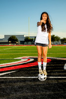 GCM_GSOC-(WRIGHT)-217