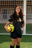 SPRING_WOODS_GSOC__07-(HARTOJO)