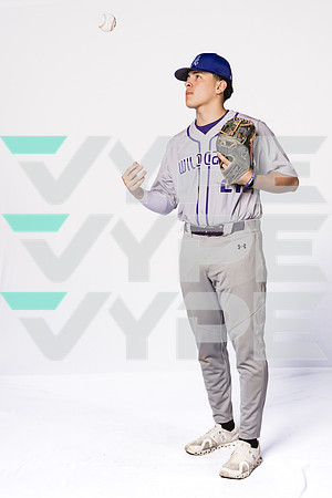 ANGLETON_BSBL-(BROWN)-00000902