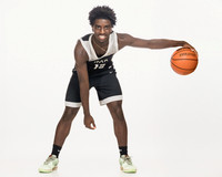 KLEIN OAK_BB-(COLLIER)-00514