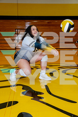 HASTINGS_VB-(WRIGHT)-8