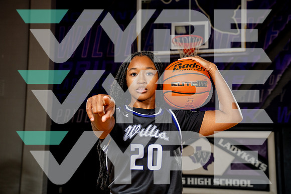 WILLIS_GBB-(BCC)-00251