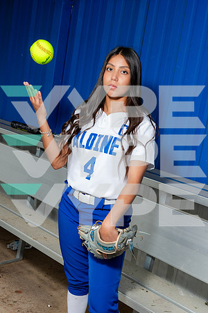 ALDINE_SFBL-(COLLIER)-00169