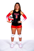 TERRY_VB-(WRIGHT)-3