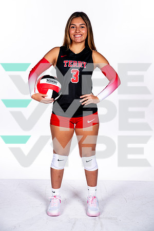 TERRY_VB-(WRIGHT)-3