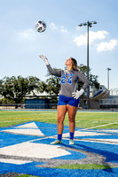 STERLING_GSOC-(BCC)-355