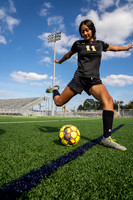 SPRING_WOODS_GSOC__11-(HARTOJO)