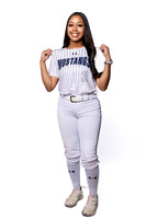 LAMAR_CONSOLIDATED_SFBL_2-(BROWN)-00003136