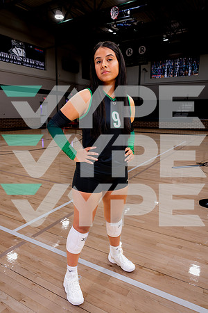 RUDDER_VB-(HINSON)-40