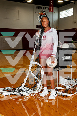 LEE_VB-(WRIGHT)-3
