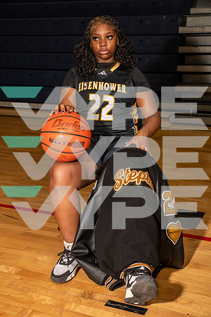 EISENHOWER_GBB_0318-(BROWN)