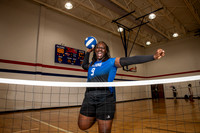 ALDINE_VB_0243-(BROWN)