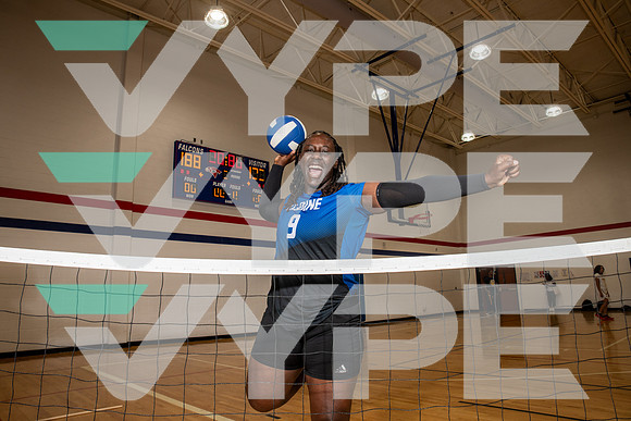 ALDINE_VB_0243-(BROWN)