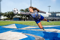 STERLING_GSOC-(BCC)-363