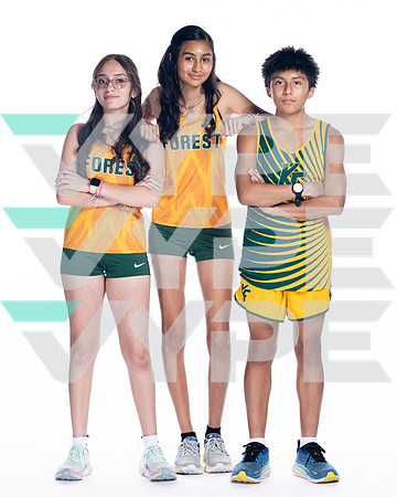 KLEIN FOREST_XC-(COLLIER)-2