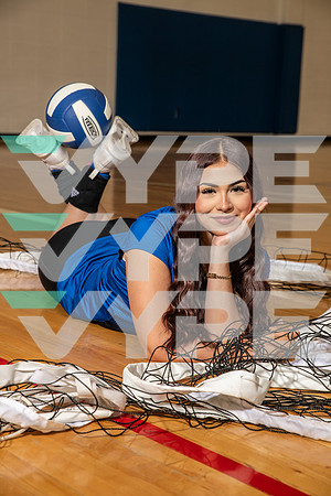 ALDINE_VB_0229-(BROWN)