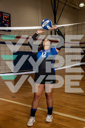 ALDINE_VB_0253-(BROWN)