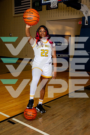 MARSHALL_GBB_-(BROWN)-2106