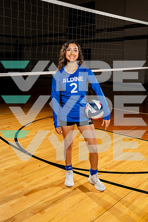 ALDINE_VB-(COLLIER)-26