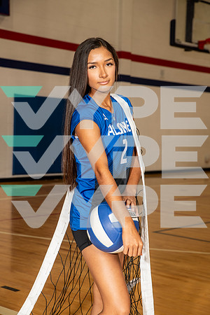 ALDINE_VB_0259-(BROWN)