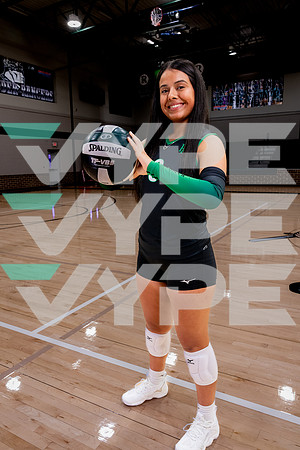 RUDDER_VB-(HINSON)-35