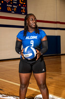 ALDINE_VB_0239-(BROWN)