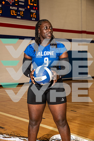 ALDINE_VB_0239-(BROWN)