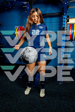 ELSIK_GSOC-(BROWN)-2804