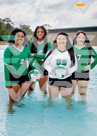 SPRING_VB_TEAM_63-(LC)