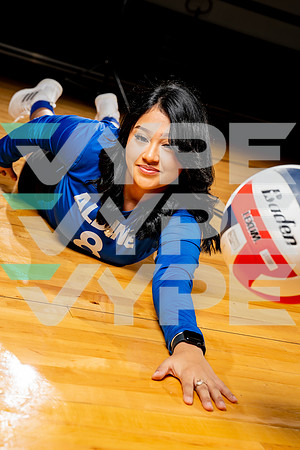 ALDINE_VB-(COLLIER)-9