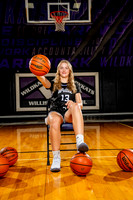 WILLIS_GBB-(BCC)-00168