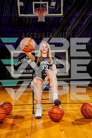 WILLIS_GBB-(BCC)-00168