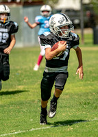 Action Shots