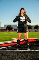 GCM_GSOC-(WRIGHT)-218