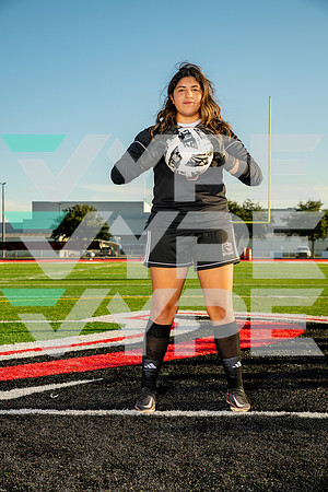 GCM_GSOC-(WRIGHT)-218