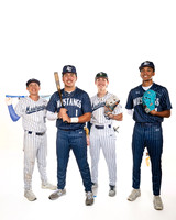 LAMAR_CONSOLIDATED_BSBL_1, 2, 3, 4-(BROWN)-3507