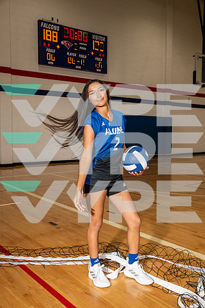ALDINE_VB_0263-(BROWN)