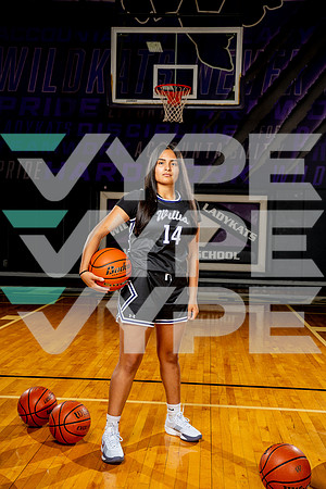 WILLIS_GBB-(BCC)-00207