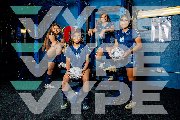 ELSIK_GSOC-(BROWN)-2786