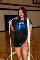 ALDINE_VB_0228-(BROWN)