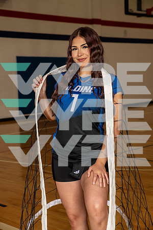 ALDINE_VB_0228-(BROWN)