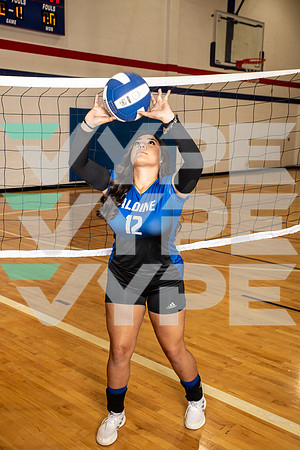 ALDINE_VB_0254-(BROWN)