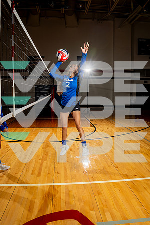 ALDINE_VB-(COLLIER)-37