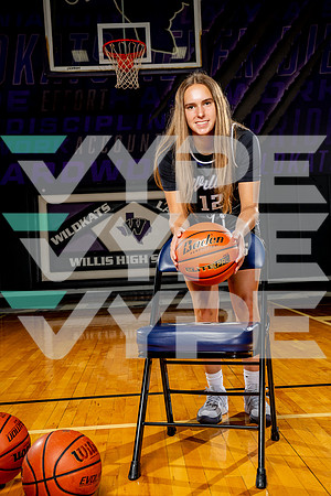 WILLIS_GBB-(BCC)-00196