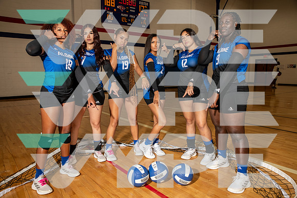 ALDINE_VB_0278-(BROWN)